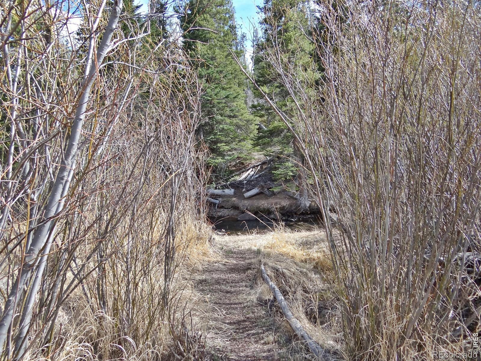 7498 Ottawa Way Red Feather Lakes CO 80545