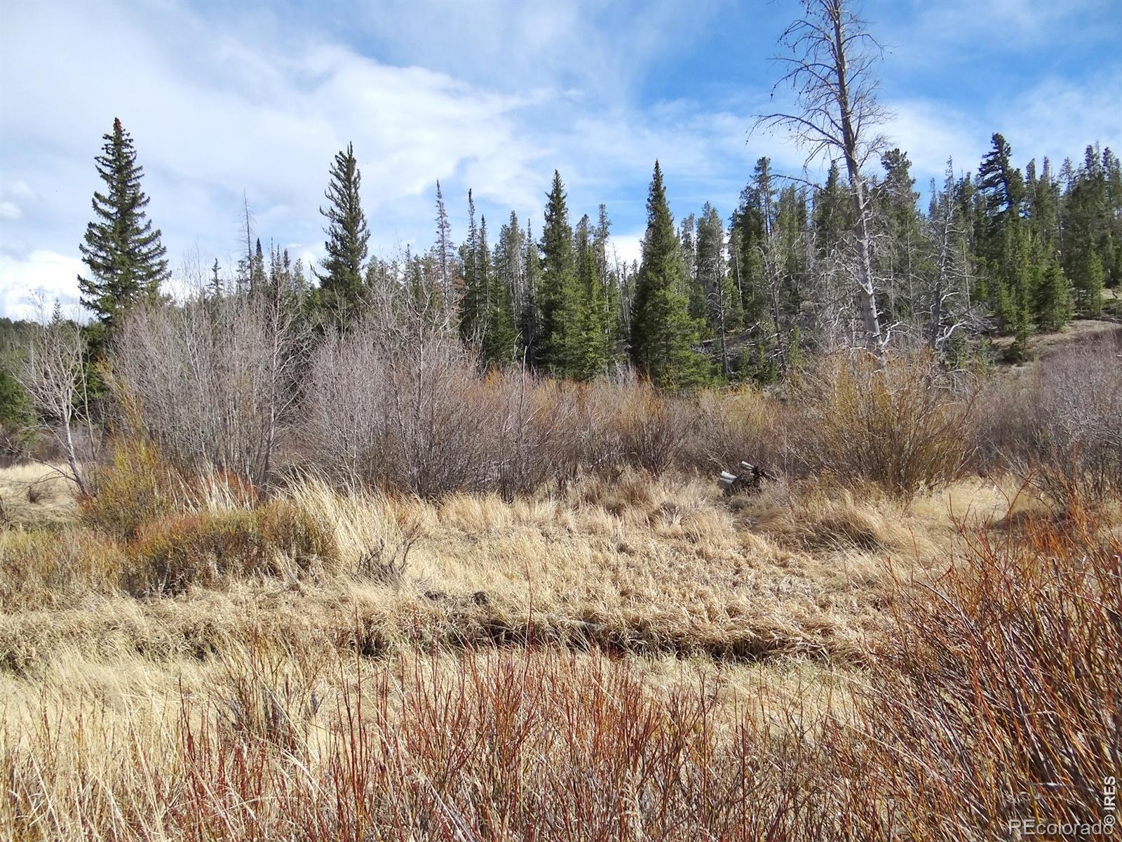 7498 Ottawa Way Red Feather Lakes CO 80545
