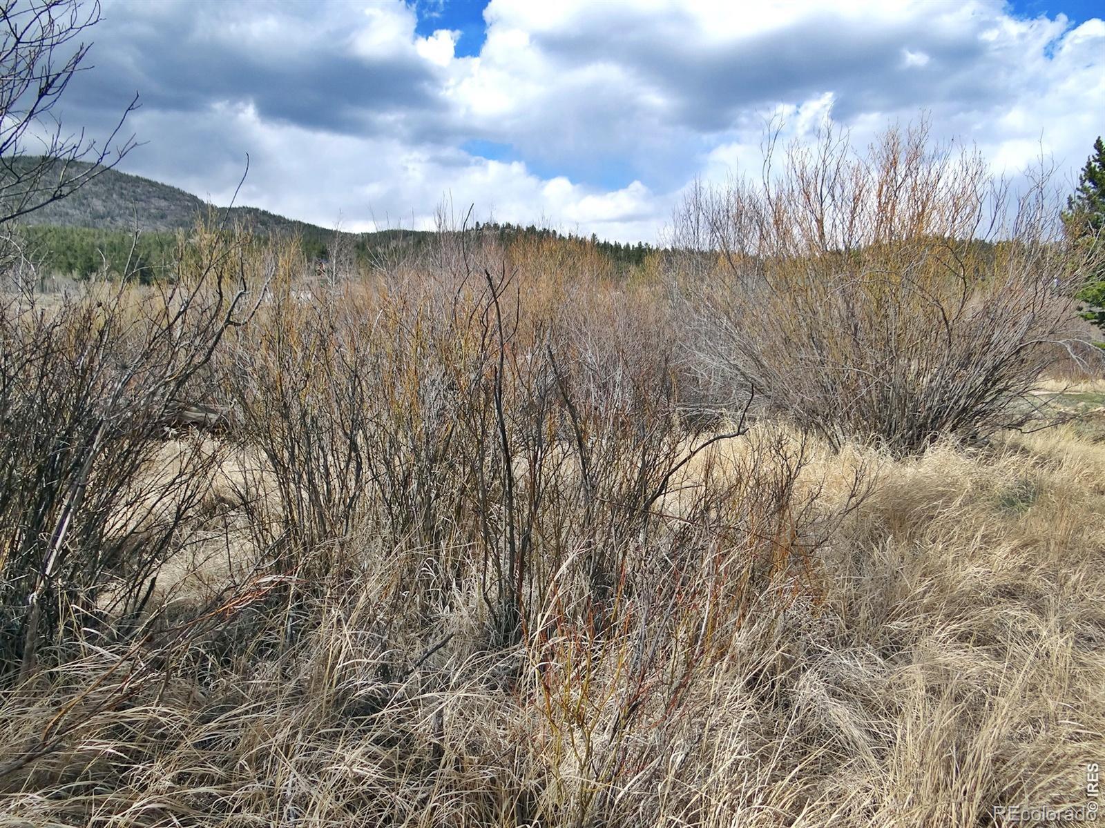 7498 Ottawa Way Red Feather Lakes CO 80545