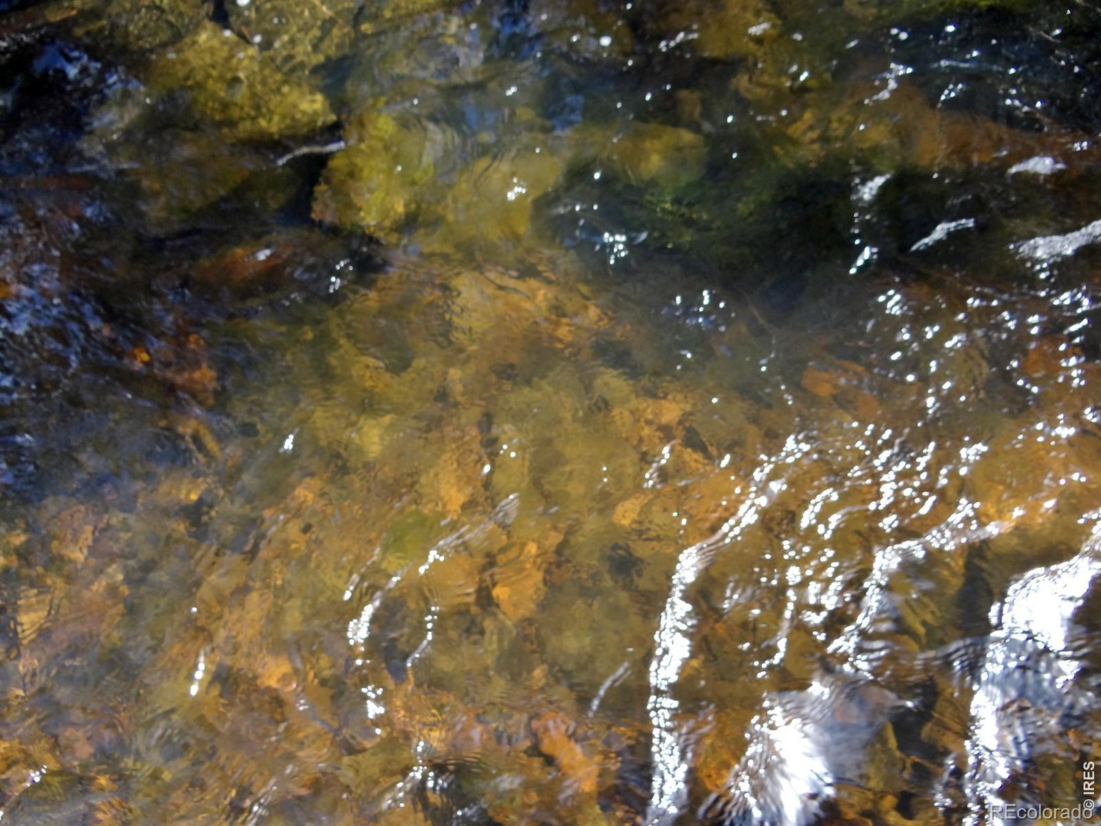 7498 Ottawa Way Red Feather Lakes CO 80545