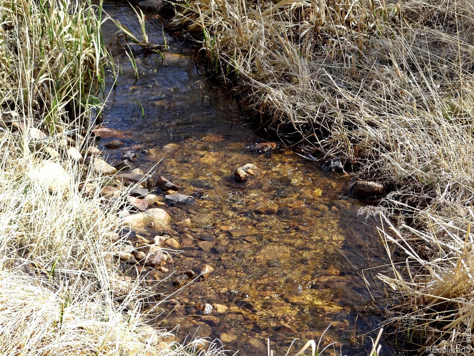 7498 Ottawa Way Red Feather Lakes CO 80545