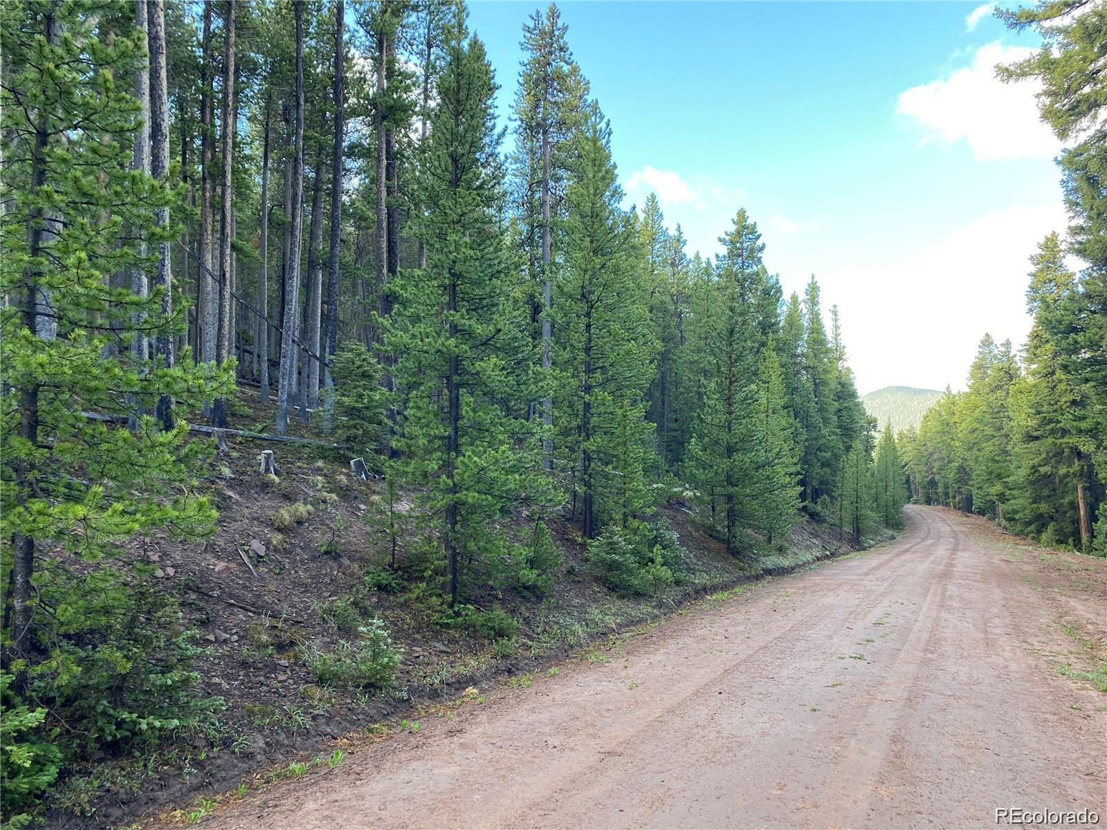 2687 Purnell Lane Fort Garland CO 81133
