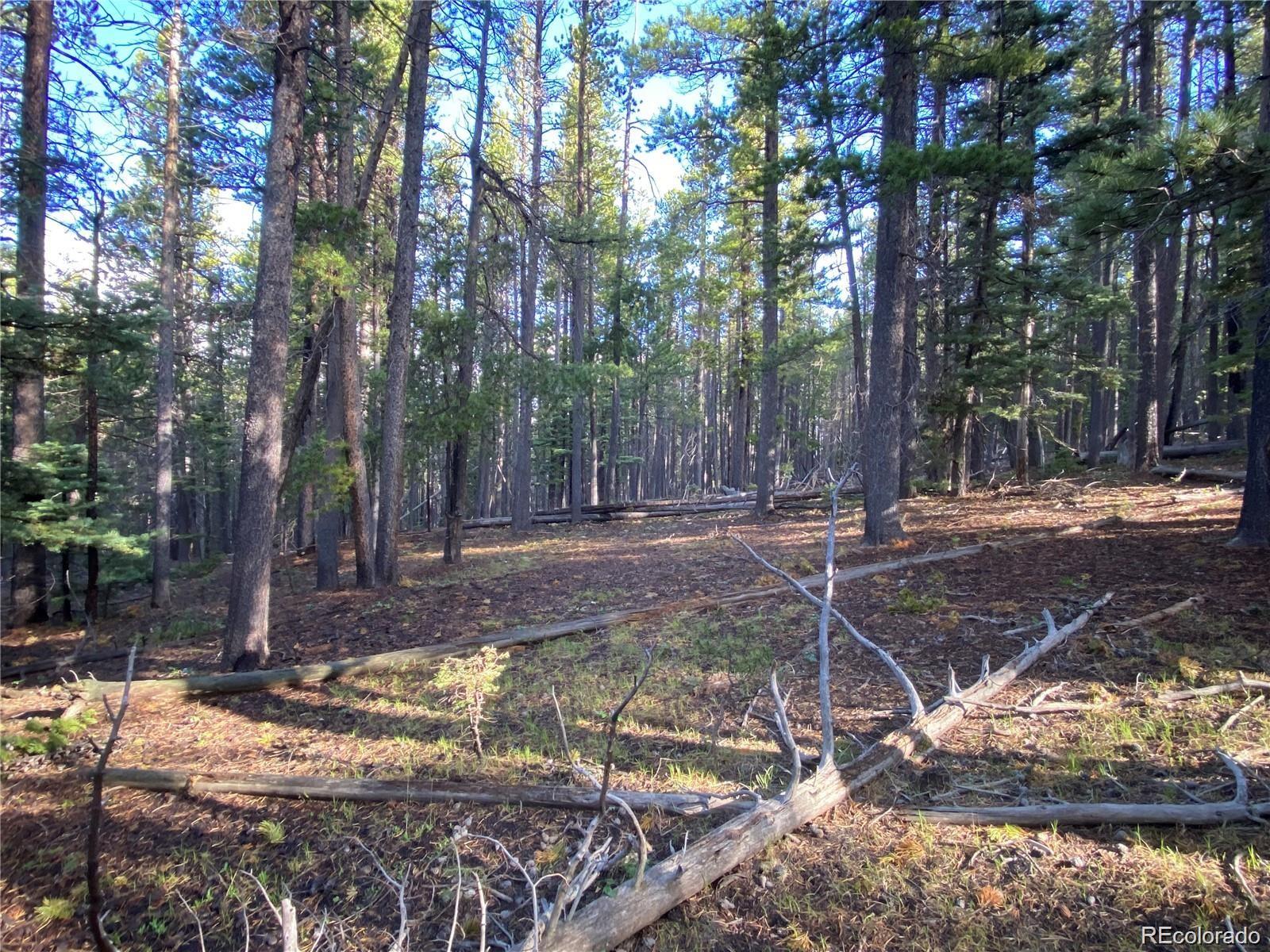 2687 Purnell Lane Fort Garland CO 81133