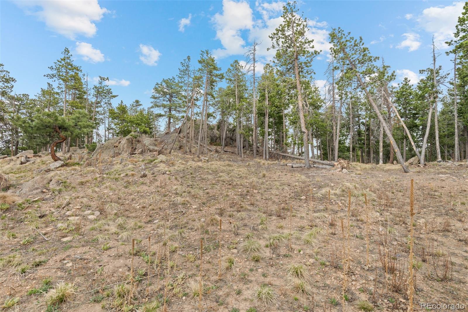 10157 Horizon View Drive Morrison CO 80465