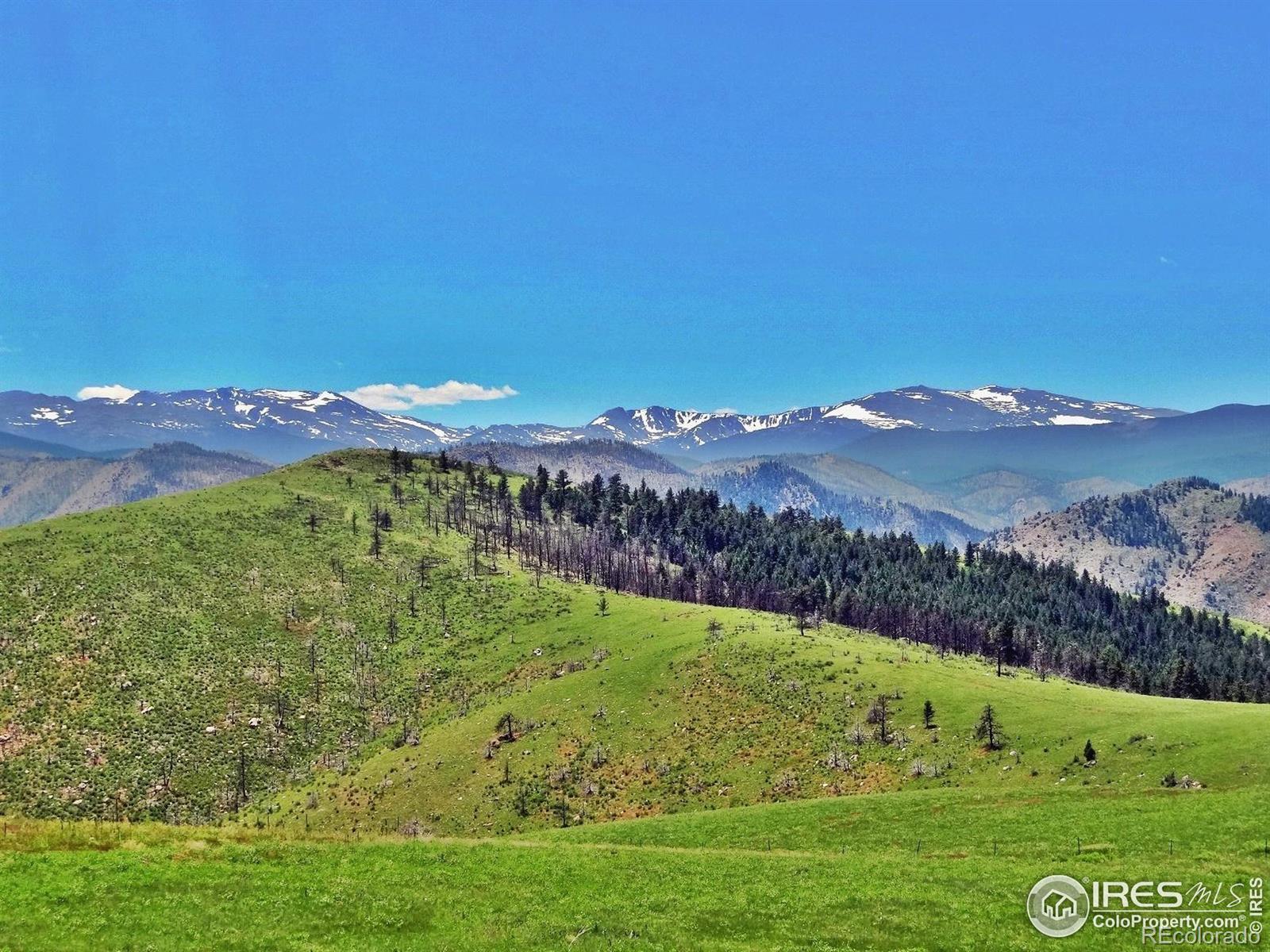 7 Meadow Mountain Drive Livermore CO 80536
