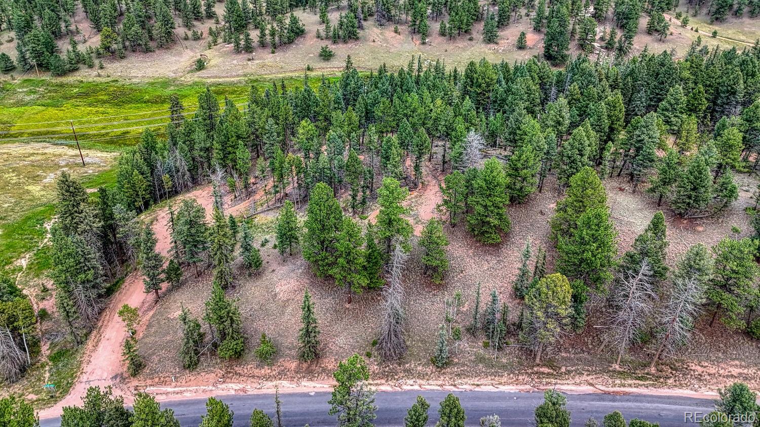 18 Falcon Circle Florissant CO 80816