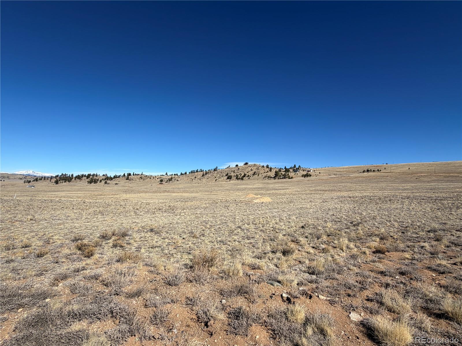 0005 Coyotero Trail Hartsel CO 80449