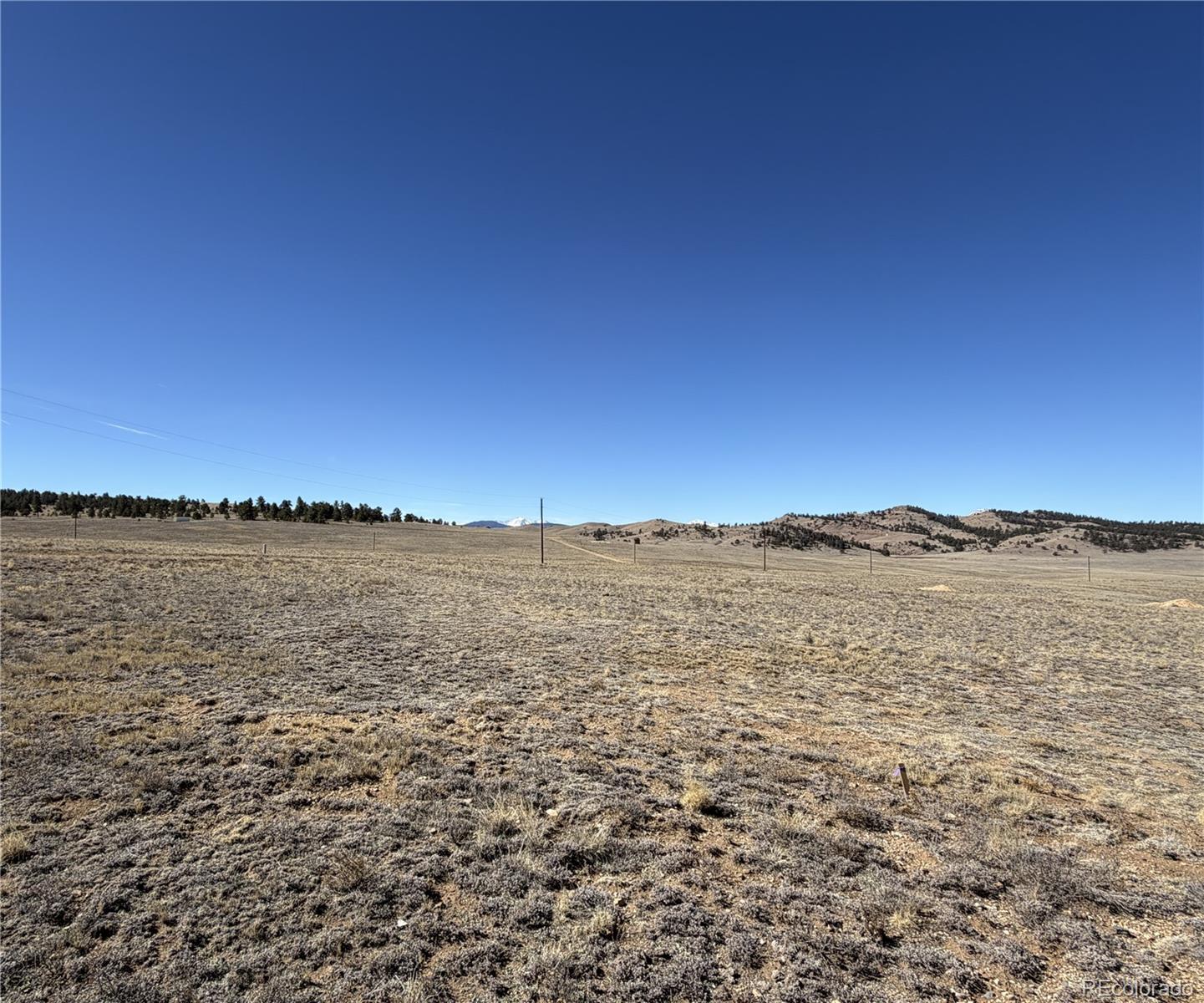 0005 Coyotero Trail Hartsel CO 80449
