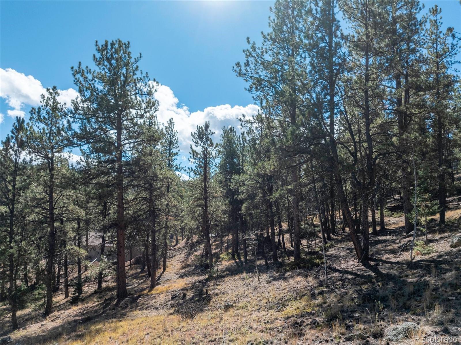 205 Stonehenge Drive Florissant CO 80816