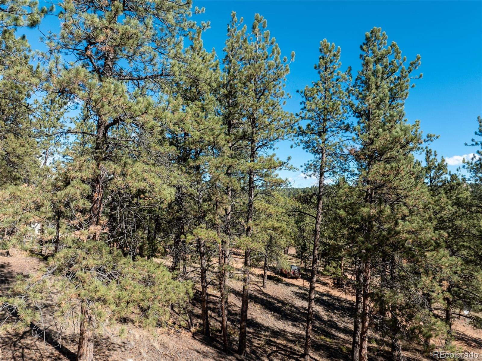 205 Stonehenge Drive Florissant CO 80816