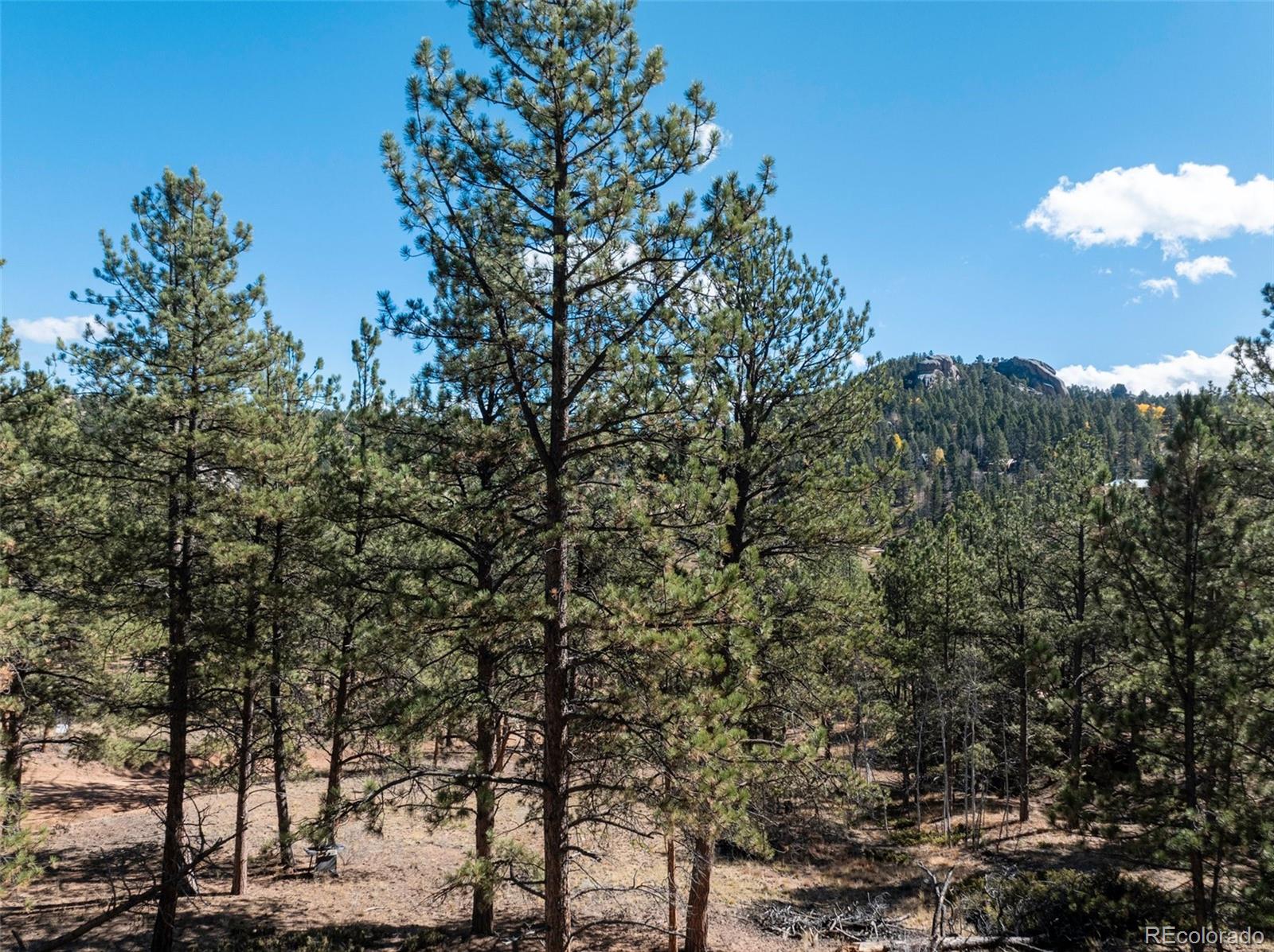 205 Stonehenge Drive Florissant CO 80816