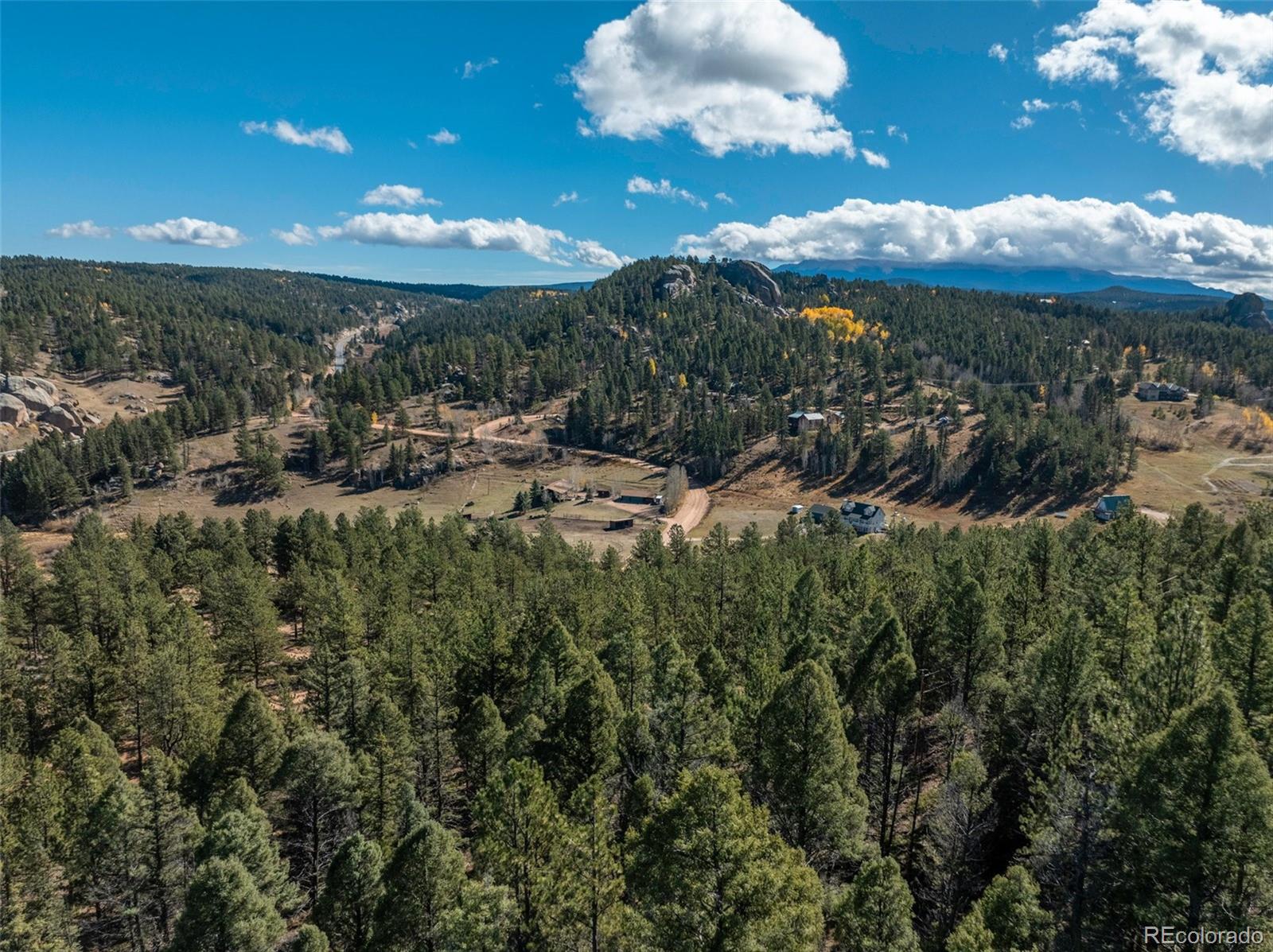 205 Stonehenge Drive Florissant CO 80816