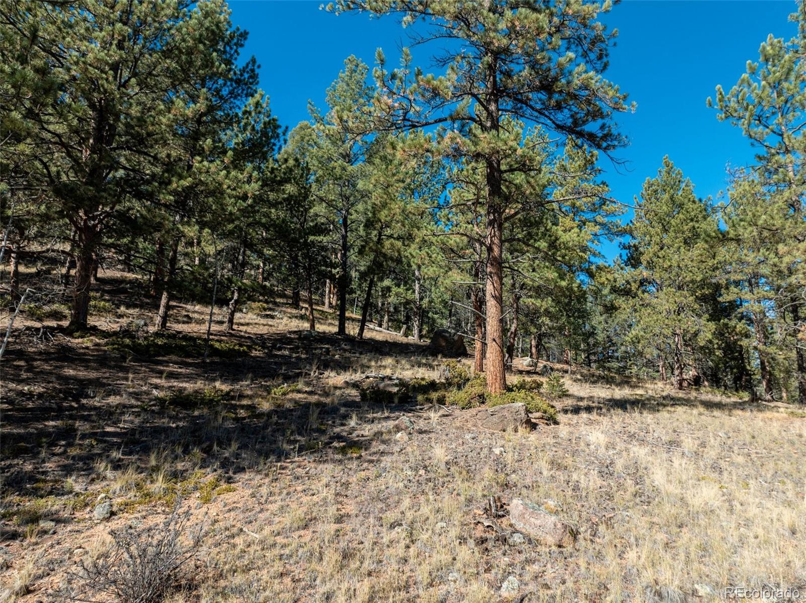 205 Stonehenge Drive Florissant CO 80816