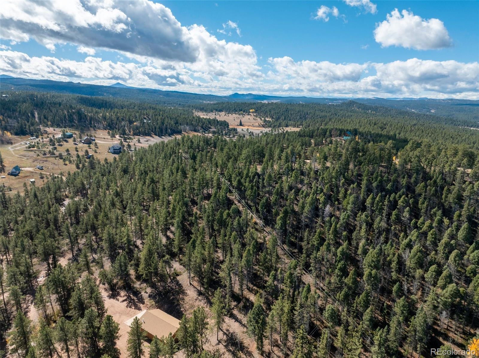 205 Stonehenge Drive Florissant CO 80816