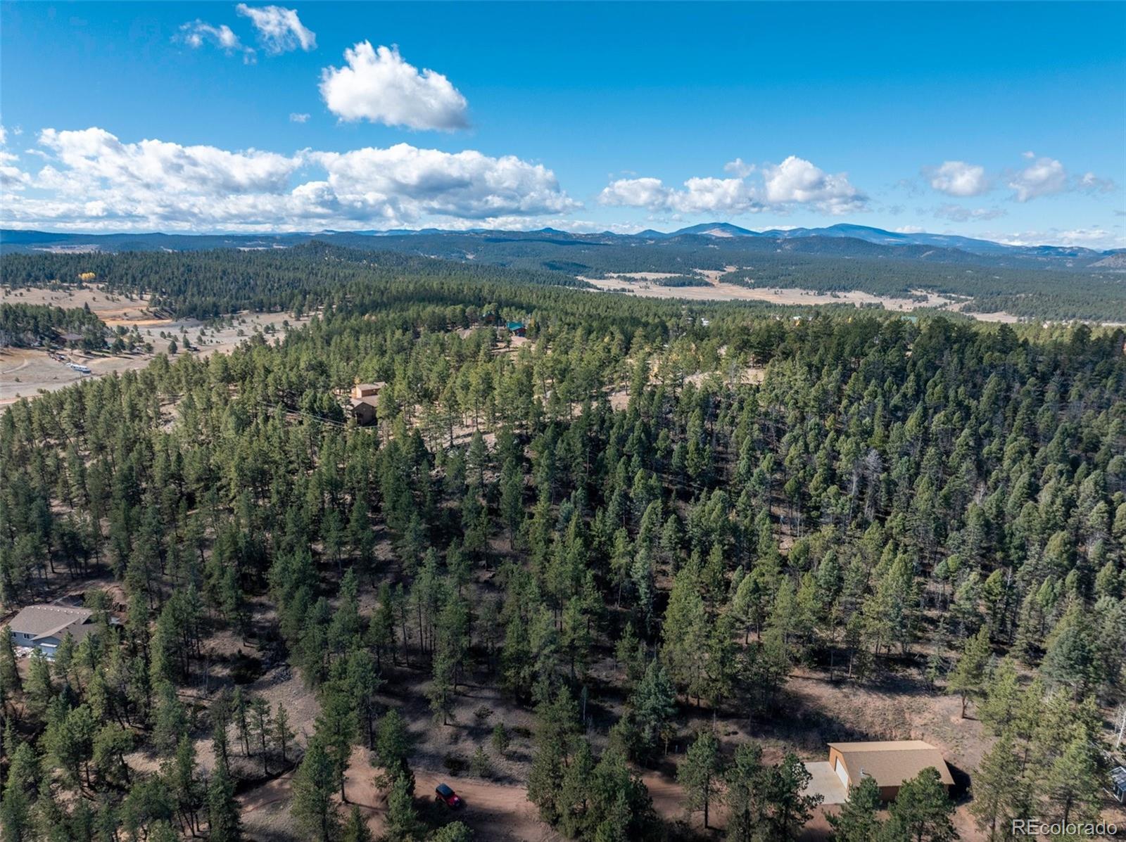 205 Stonehenge Drive Florissant CO 80816