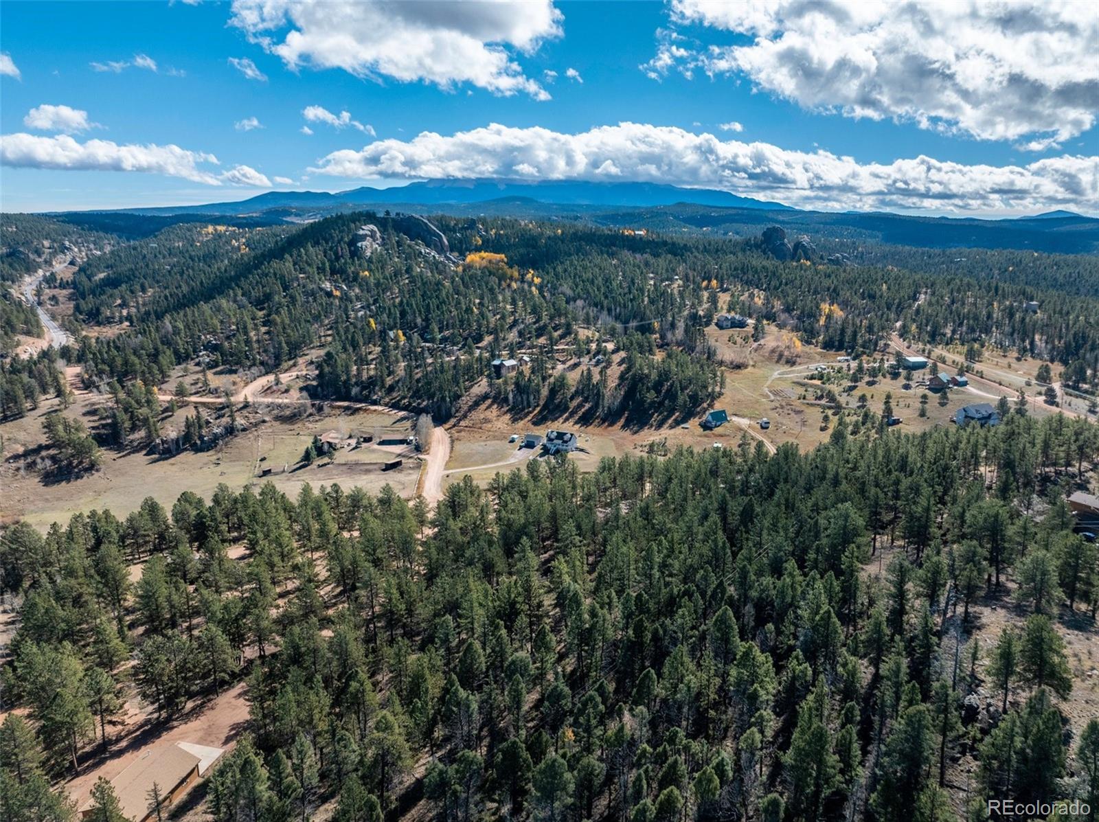 205 Stonehenge Drive Florissant CO 80816