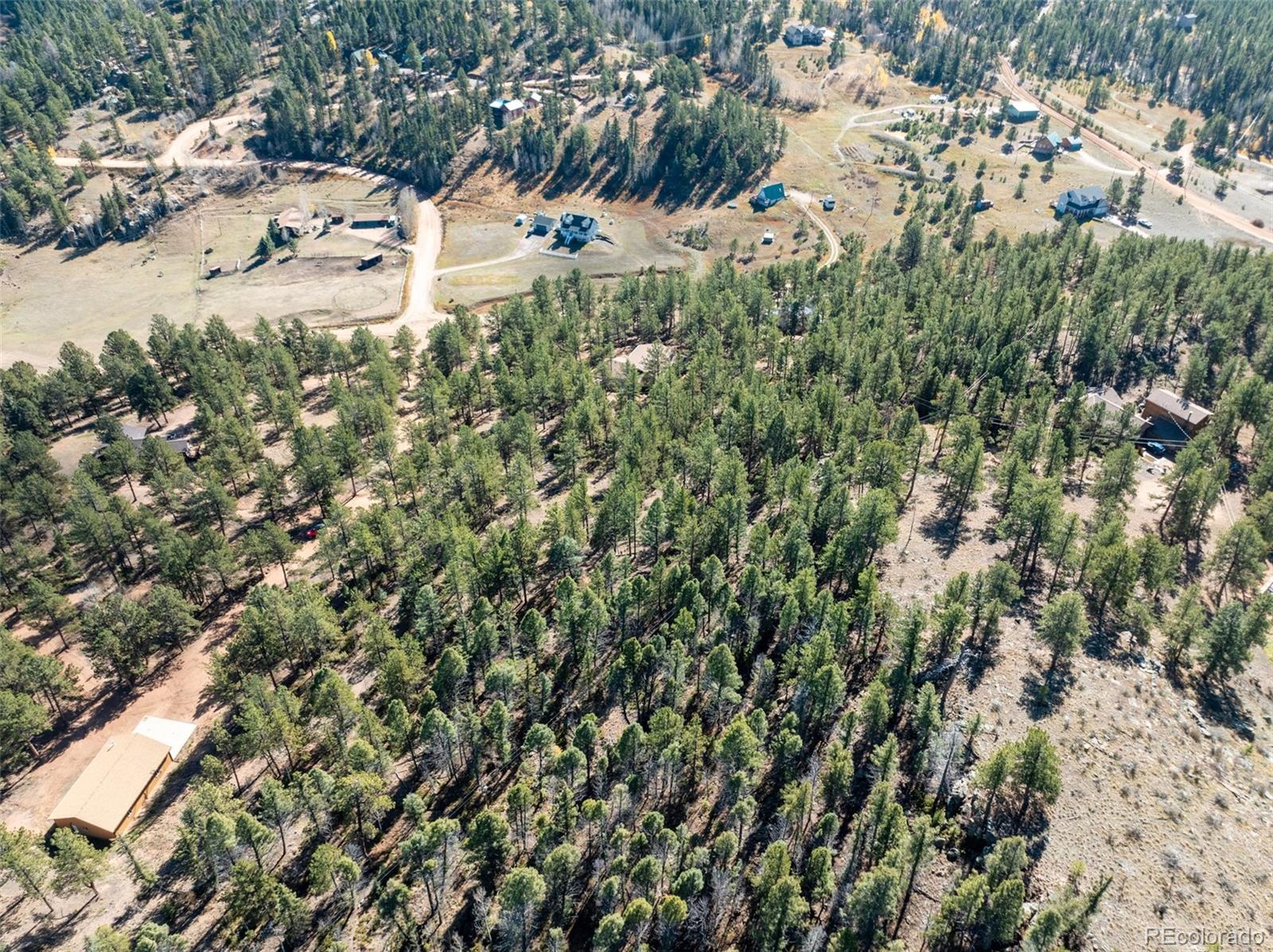 205 Stonehenge Drive Florissant CO 80816