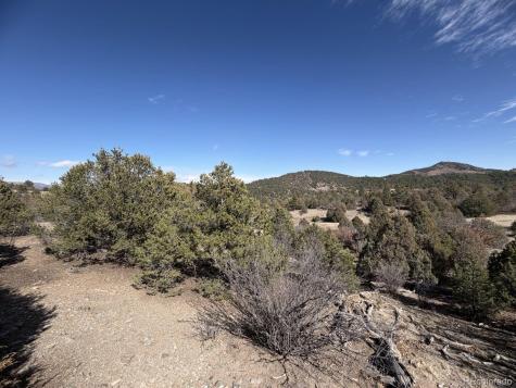 91 King Place Cotopaxi CO 81223