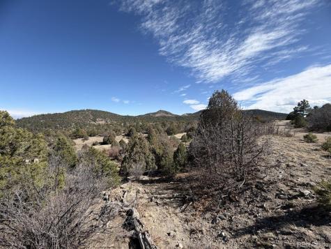 91 King Place Cotopaxi CO 81223
