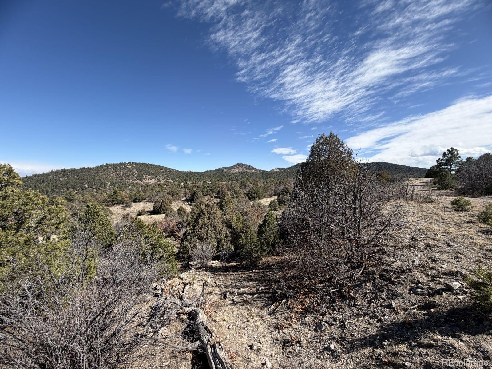 91 King Place Cotopaxi CO 81223