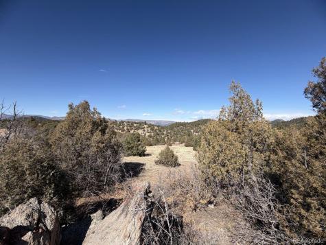 91 King Place Cotopaxi CO 81223
