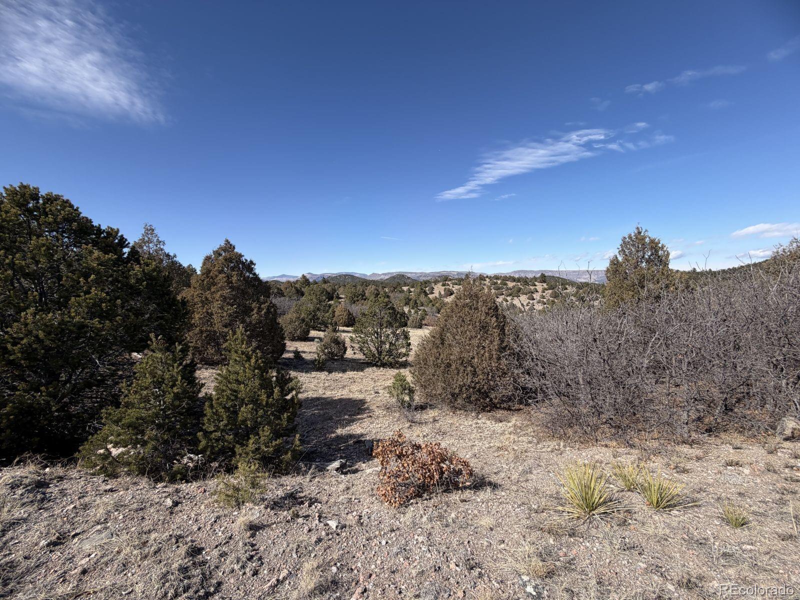 91 King Place Cotopaxi CO 81223