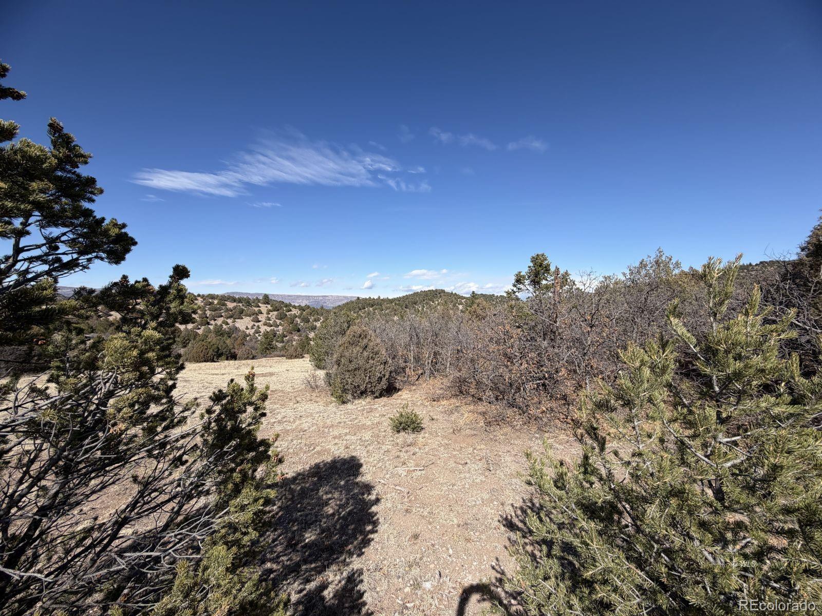 91 King Place Cotopaxi CO 81223