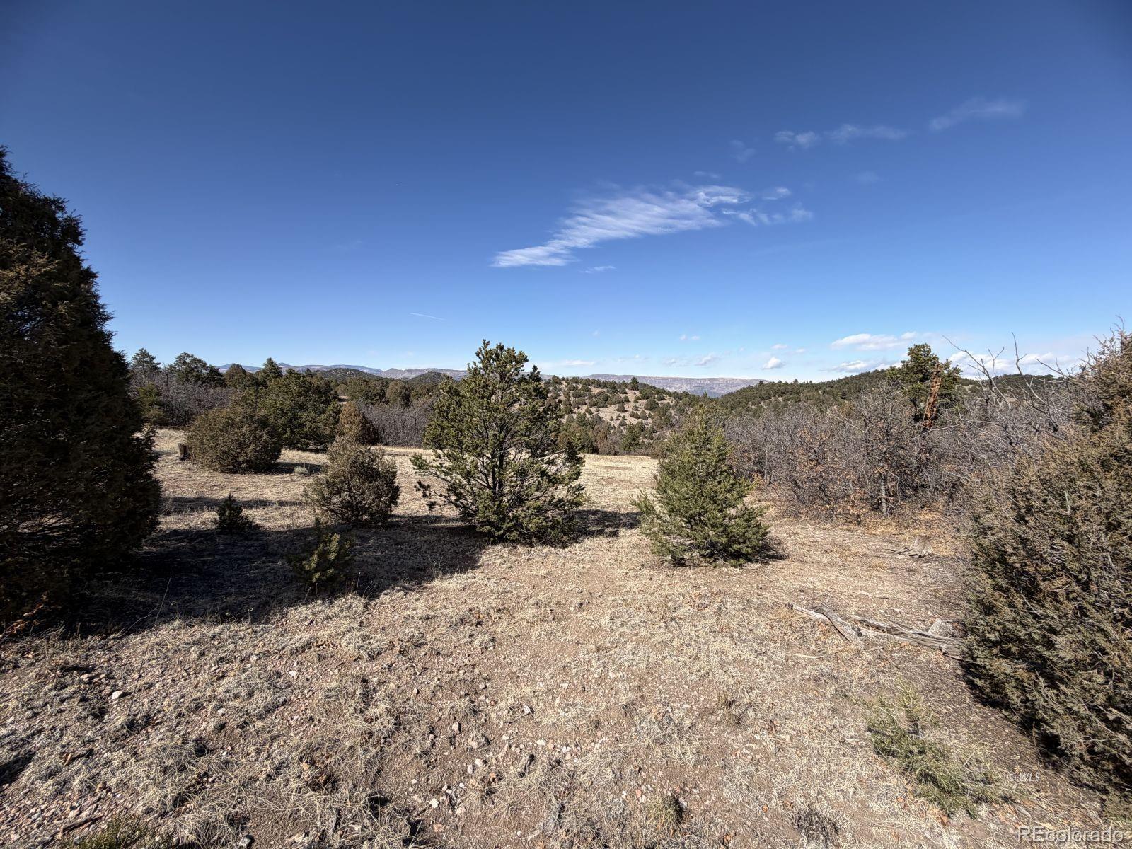 91 King Place Cotopaxi CO 81223
