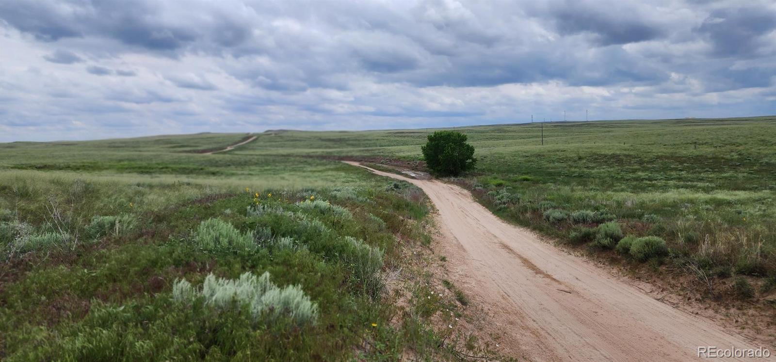 County Road 95 Orchard CO 80654