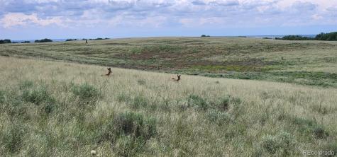 County Road 95 Orchard CO 80654
