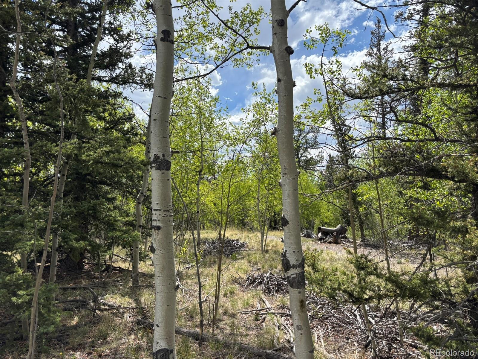 514 Chief Trail Como CO 80432