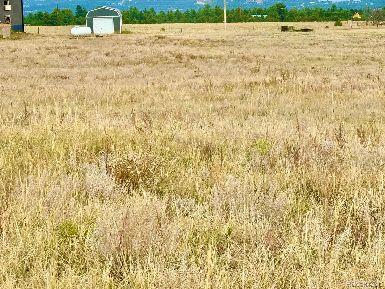 135 Fawn Street Westcliffe CO 81252