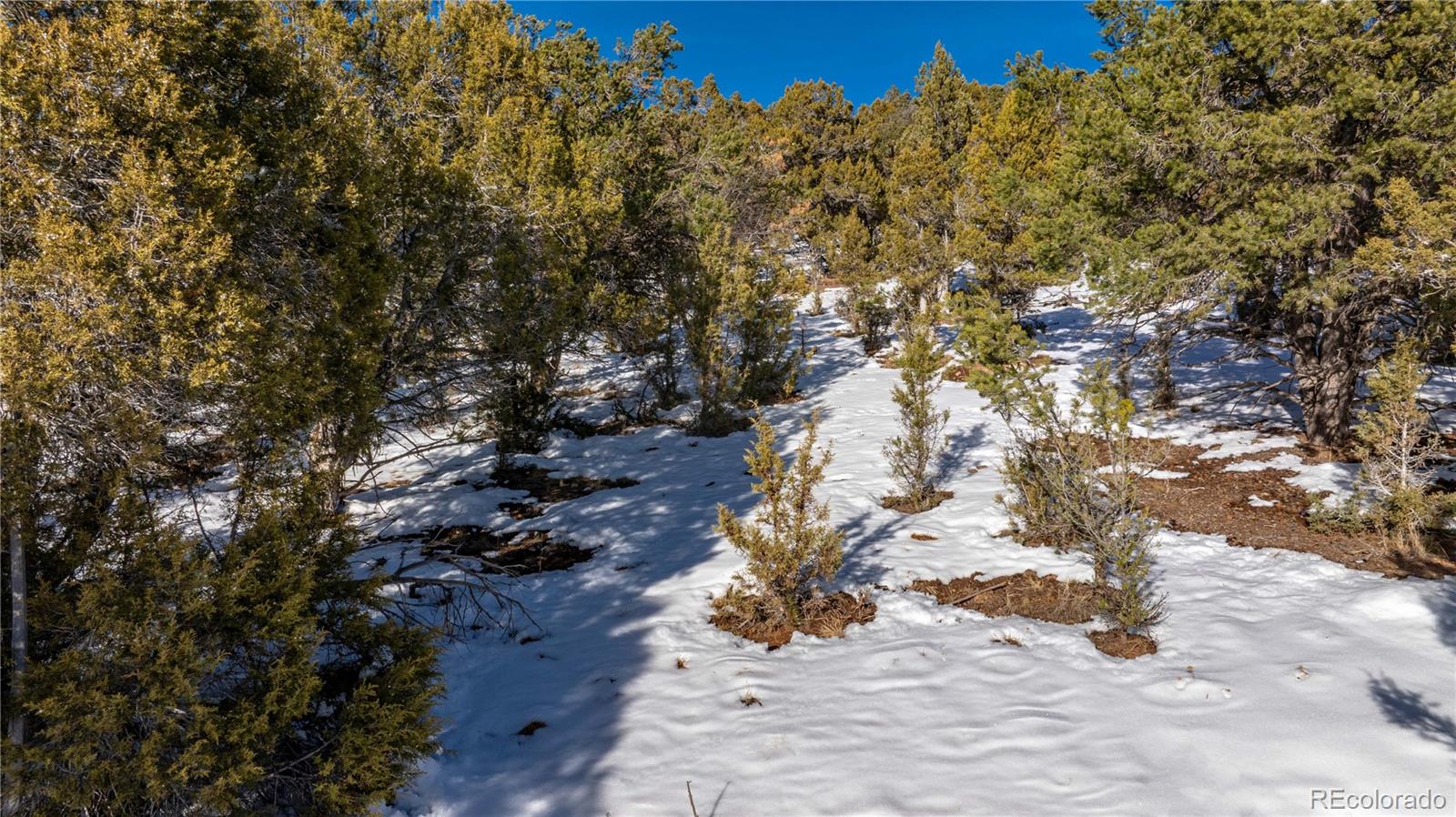 137 Cedar Cove Glenwood Springs CO 81601