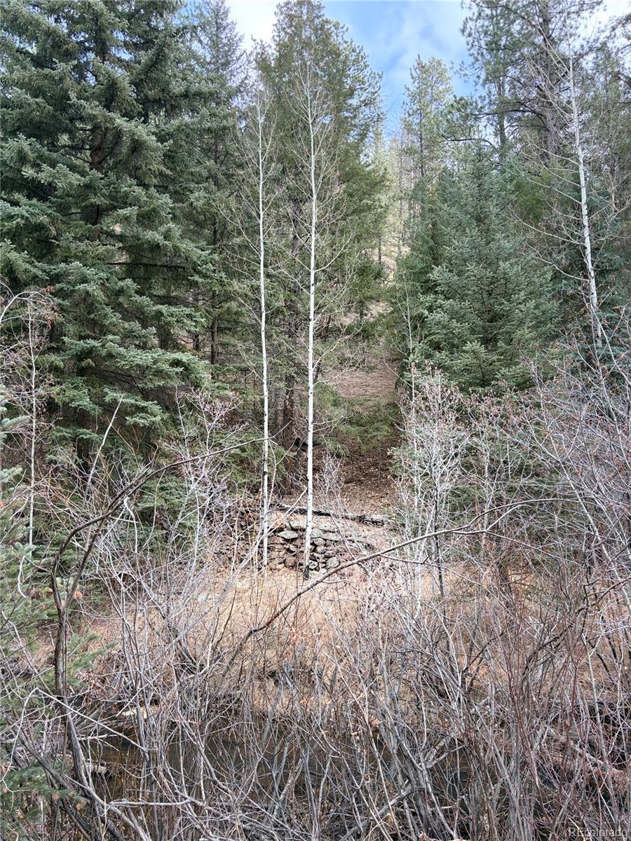 00000 S Elk Creek Road Pine CO 80470