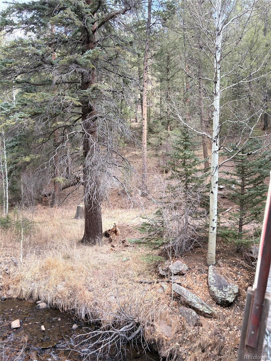 00000 S Elk Creek Road Pine CO 80470