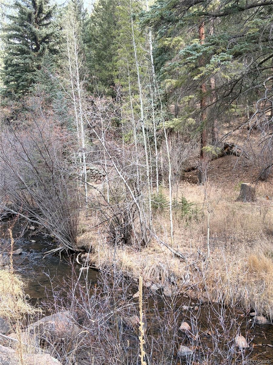 00000 S Elk Creek Road Pine CO 80470
