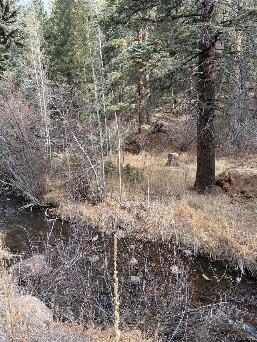 00000 S Elk Creek Road Pine CO 80470