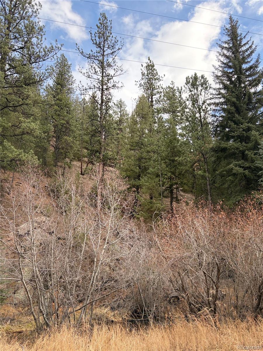 00000 S Elk Creek Road Pine CO 80470