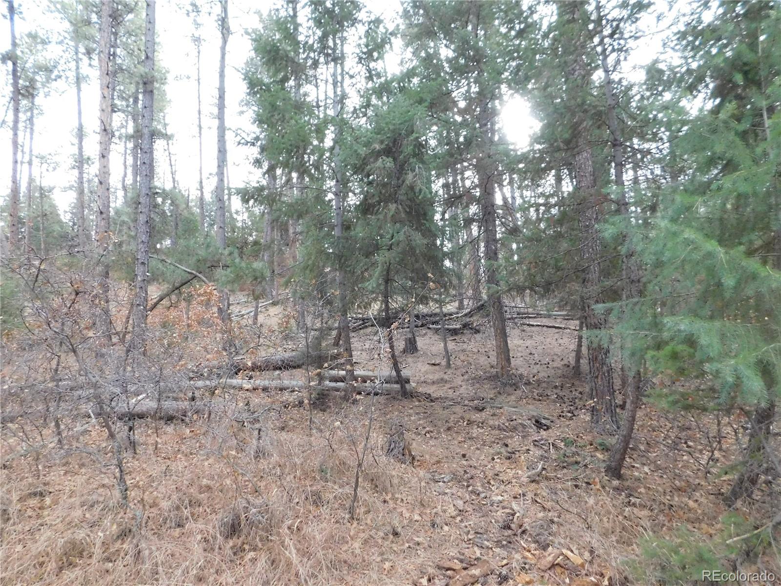 8139 Bannock Drive Larkspur CO 80118