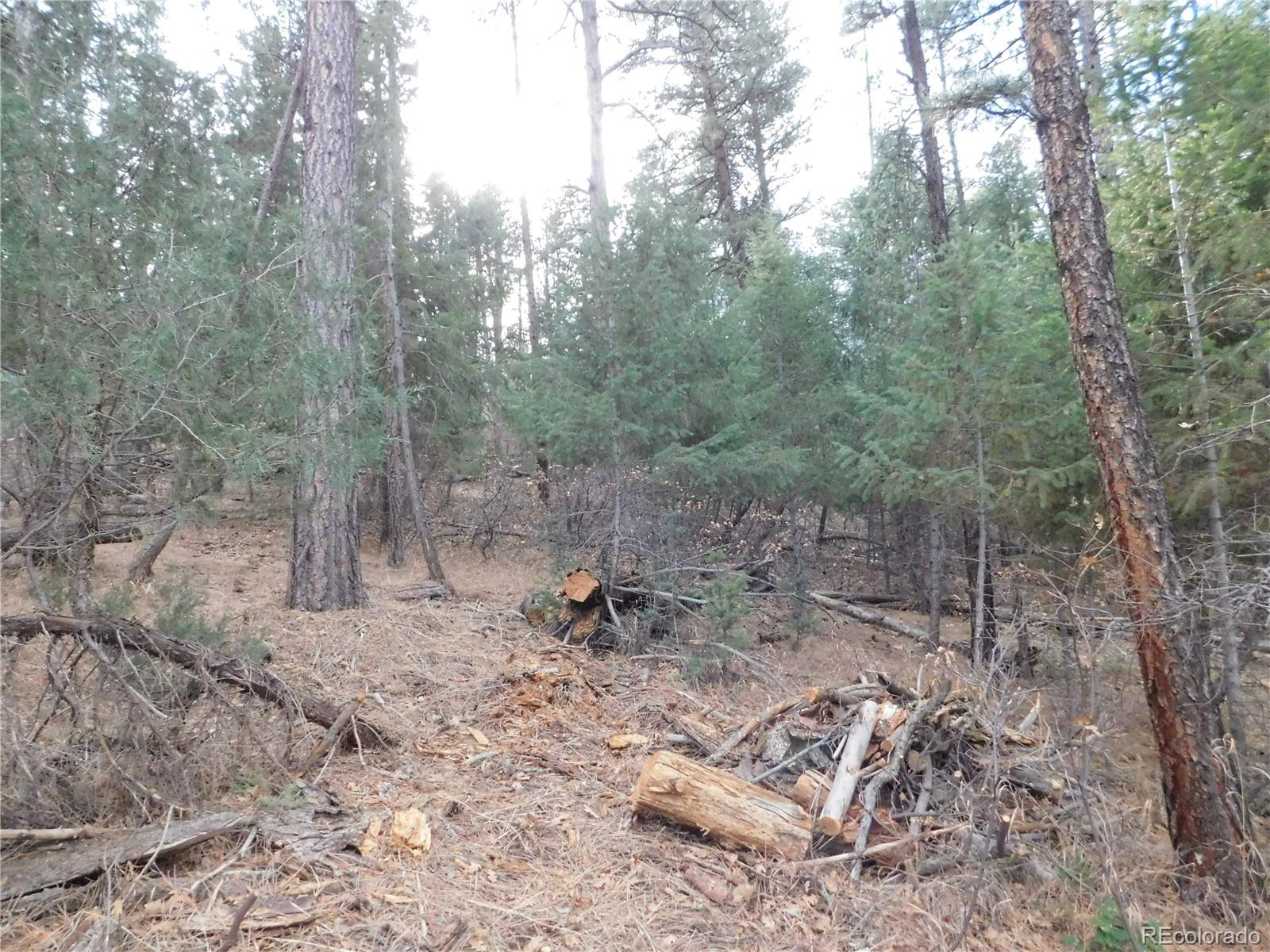 8139 Bannock Drive Larkspur CO 80118