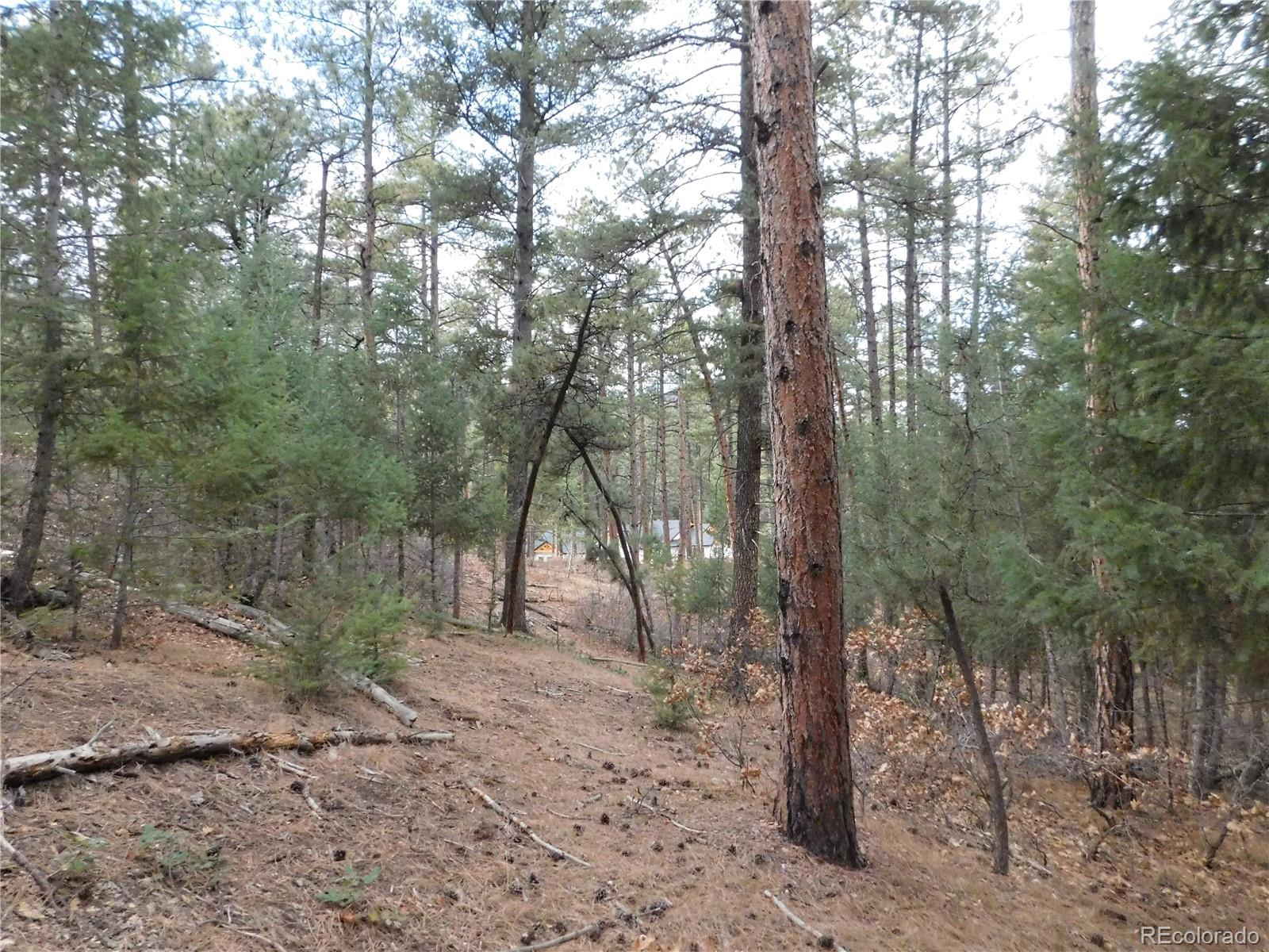 8139 Bannock Drive Larkspur CO 80118