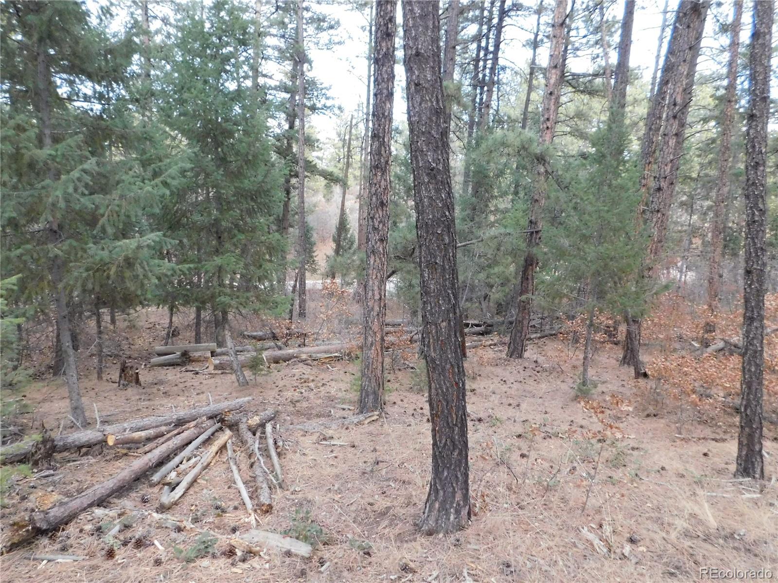 8139 Bannock Drive Larkspur CO 80118