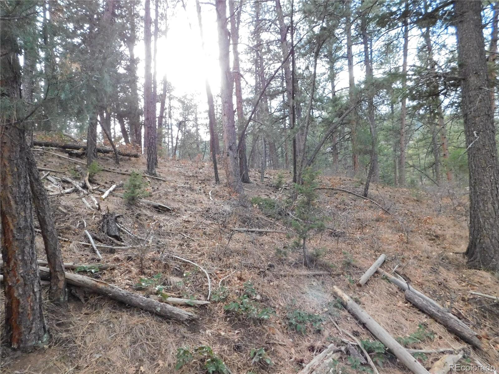 8139 Bannock Drive Larkspur CO 80118