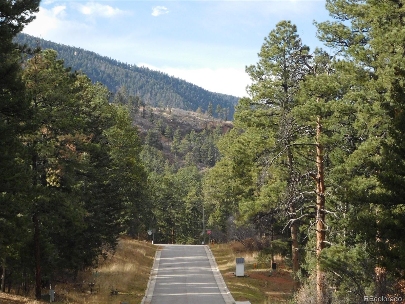8139 Bannock Drive Larkspur CO 80118