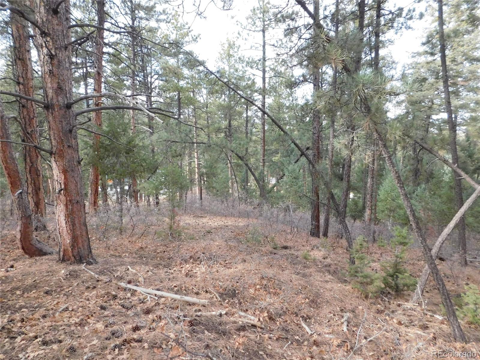 8139 Bannock Drive Larkspur CO 80118