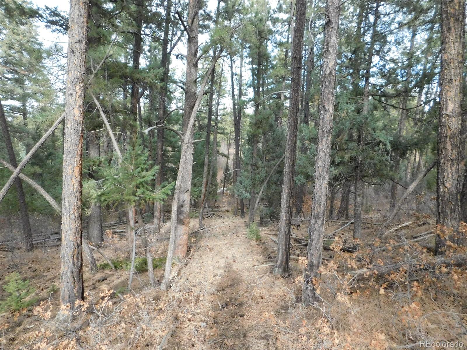 8139 Bannock Drive Larkspur CO 80118