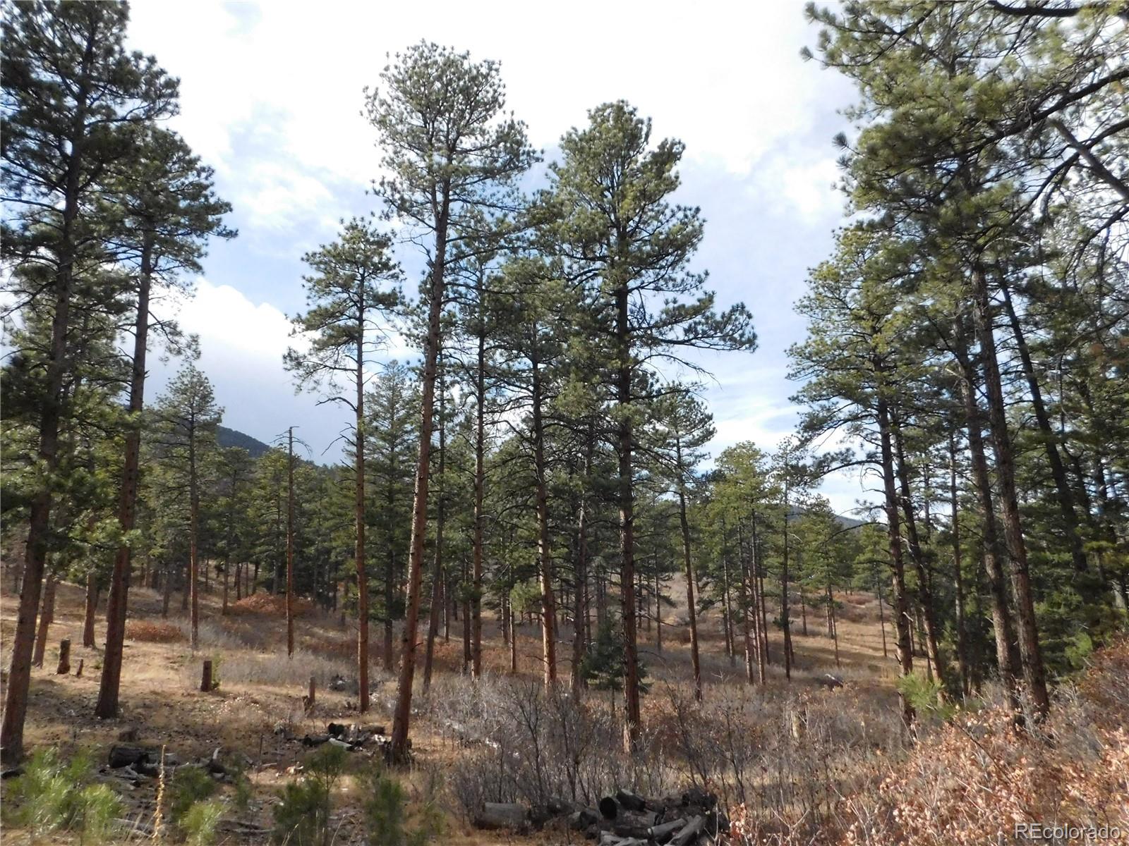 8139 Bannock Drive Larkspur CO 80118