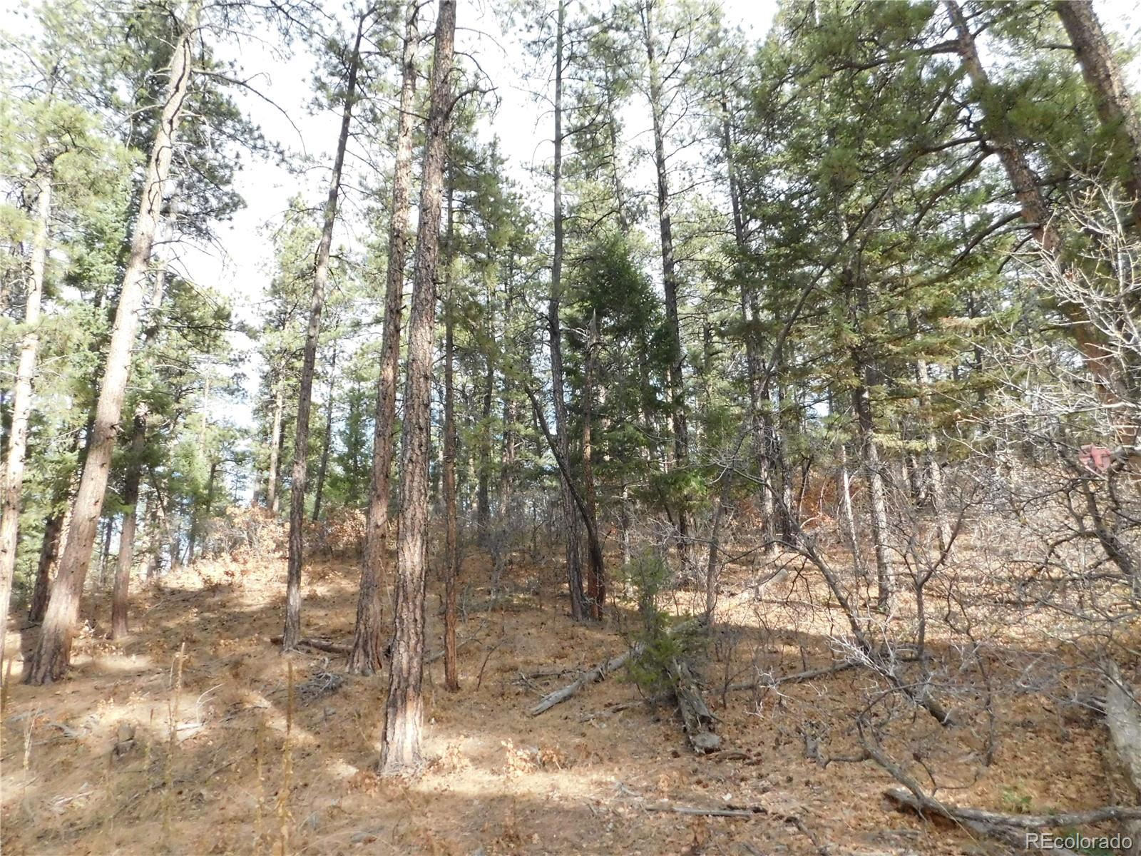 8139 Bannock Drive Larkspur CO 80118