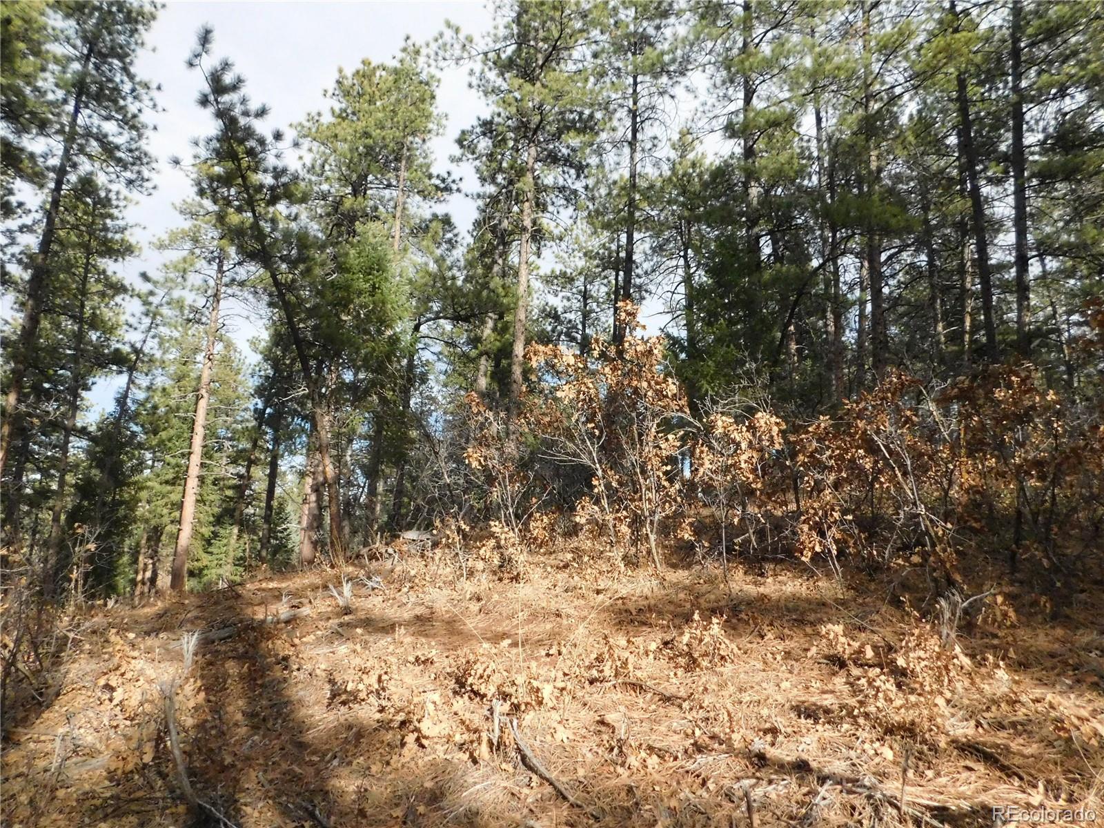 8139 Bannock Drive Larkspur CO 80118