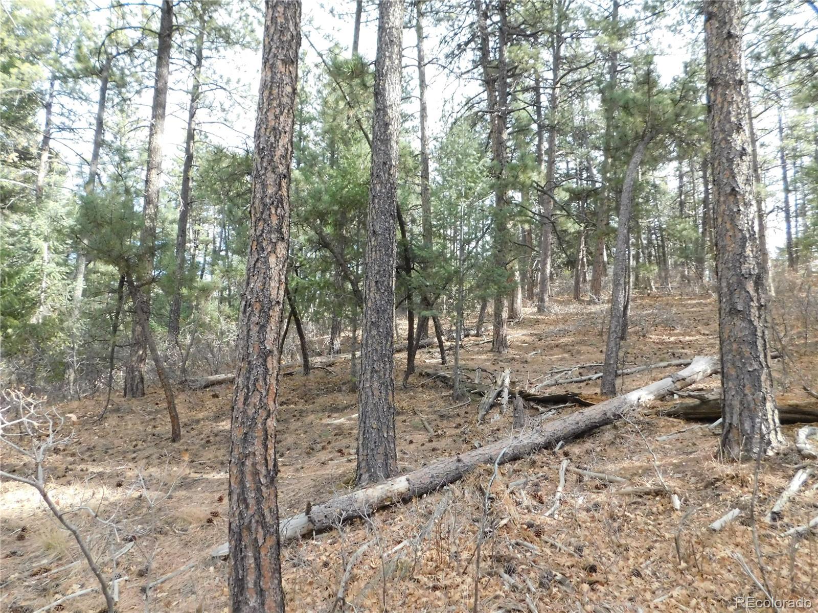 8139 Bannock Drive Larkspur CO 80118
